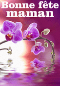 Orchid&eacute;es &eacute;l&eacute;gantes pour une maman ch&eacute;rie
